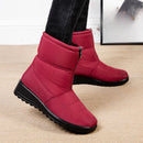 Bota em