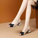 49301163082042|49301163114810|49301163147578|49301163180346|49301163213114|49301163278650|49301163311418|49301163376954|49301163409722