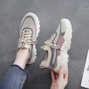 49188513939770|49188513972538|49188514136378|49188514169146|49188514201914|49188514234682