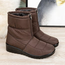 Bota em
