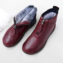 FrostBella - Bota Aurora 2024 - Fluzzia